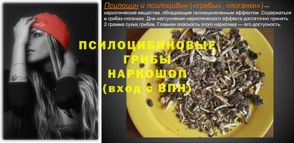 ПСИЛОЦИБИНОВЫЕ ГРИБЫ Нягань