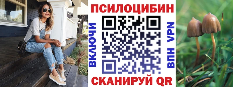 Псилоцибиновые грибы прущие грибы  Красновишерск 